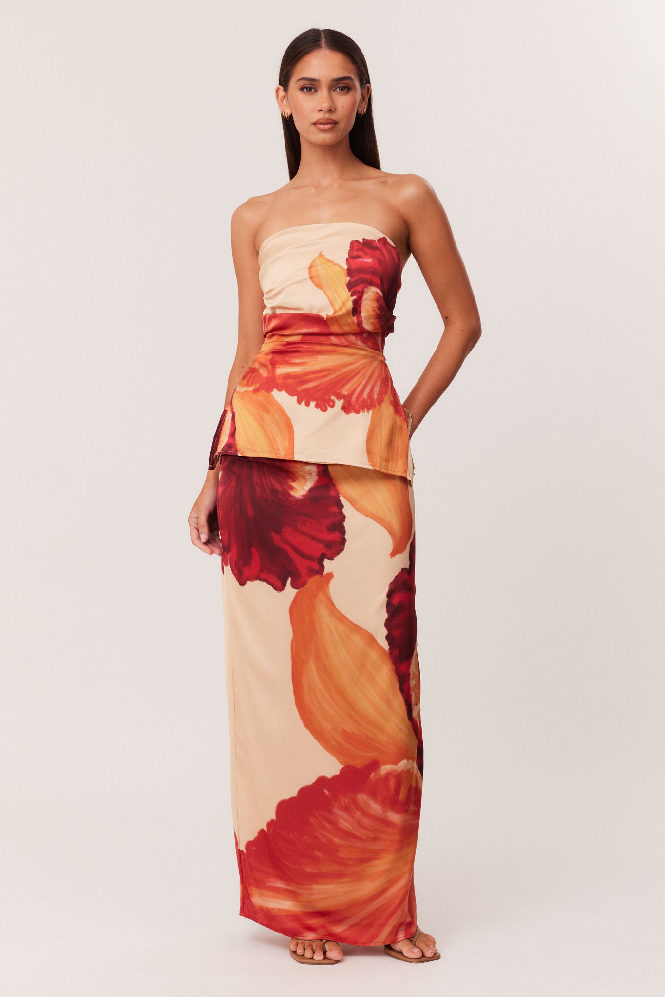 03_Cattleya_Set_321949