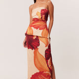 03_Cattleya_Set_321958_A