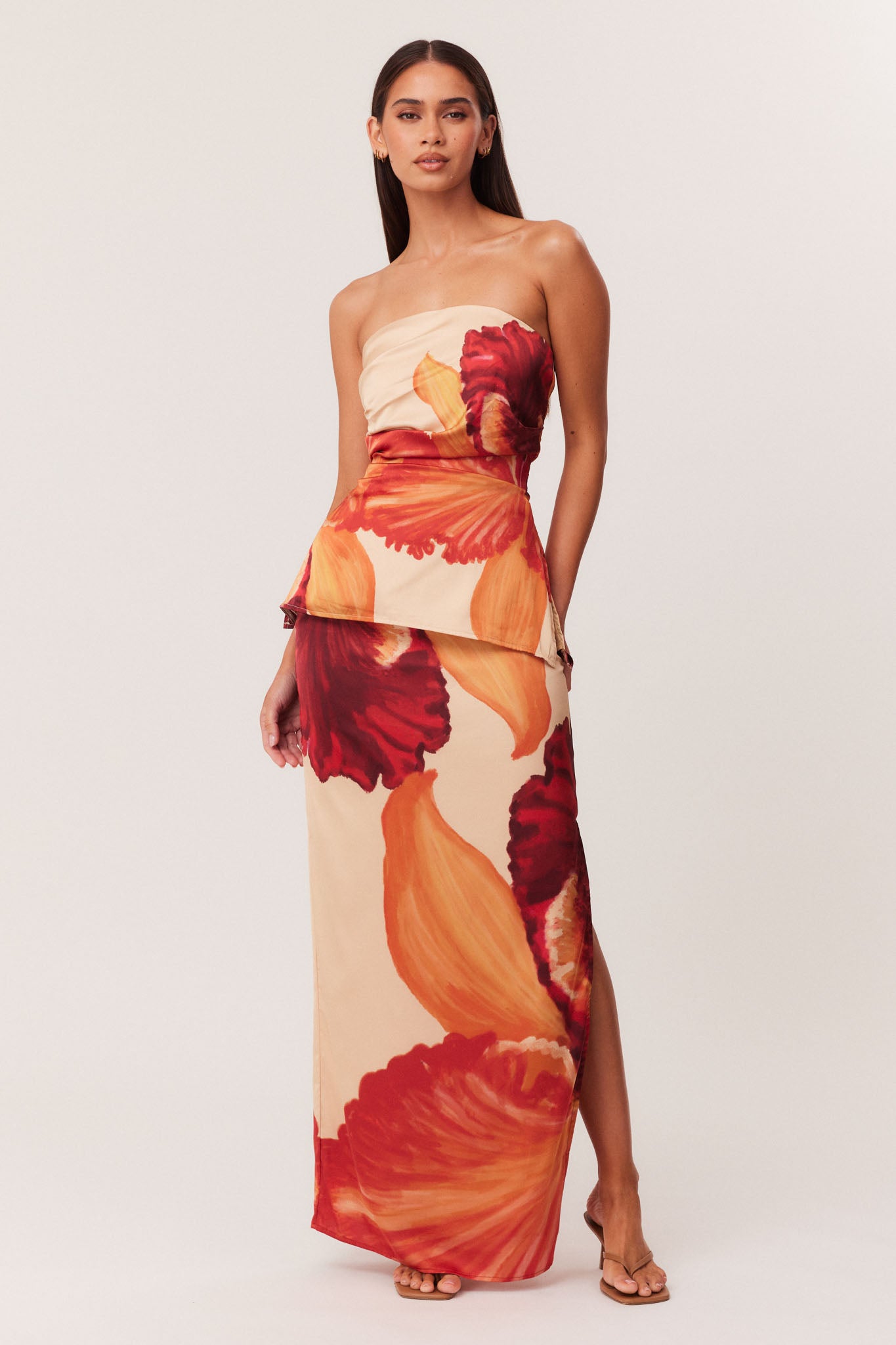 03_Cattleya_Set_321958_A