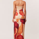 03_Cattleya_Set_321970