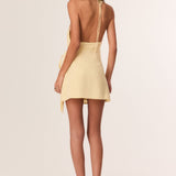 ROSEWOOD MINI DRESS